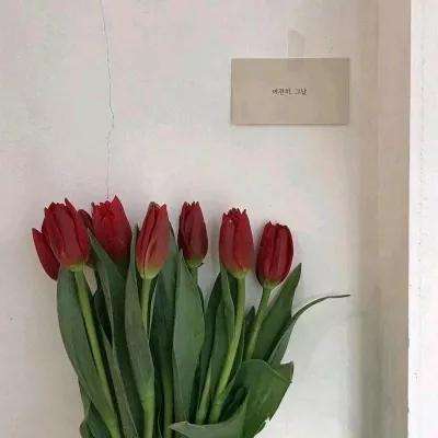 龙城霸主内购破解版下载